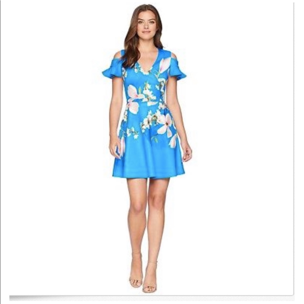 Ted Baker London Harmony Blue Dress Size 2 (US 6)